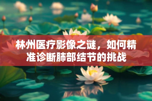 林州医疗影像之谜，如何精准诊断肺部结节的挑战