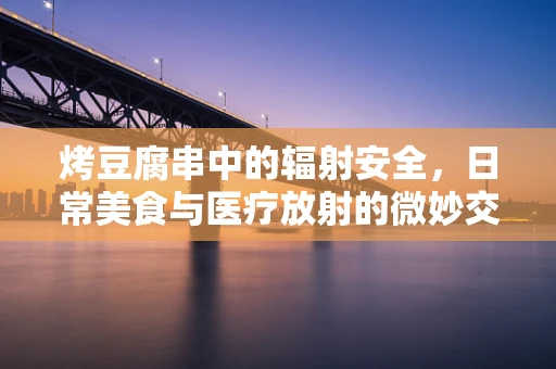 烤豆腐串中的辐射安全，日常美食与医疗放射的微妙交集