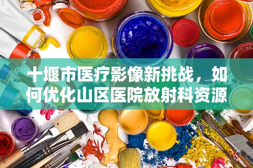 十堰市医疗影像新挑战，如何优化山区医院放射科资源利用？
