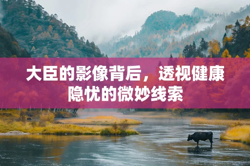 大臣的影像背后，透视健康隐忧的微妙线索