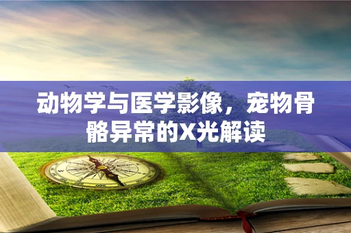 动物学与医学影像，宠物骨骼异常的X光解读