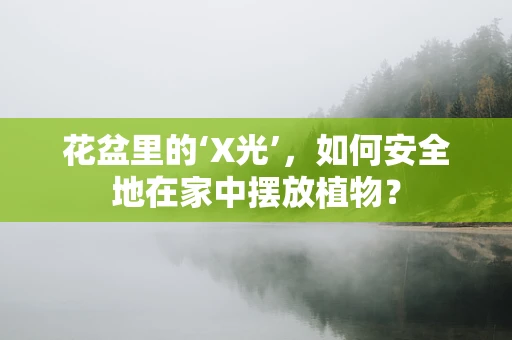 花盆里的‘X光’，如何安全地在家中摆放植物？