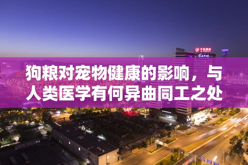 狗粮对宠物健康的影响，与人类医学有何异曲同工之处？