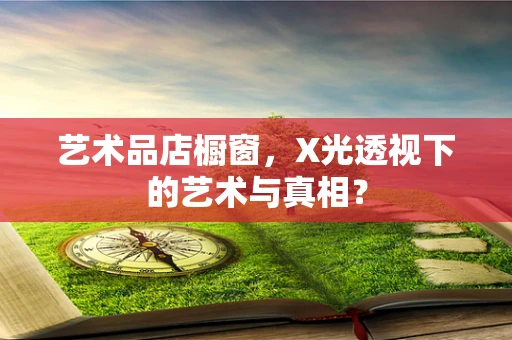 艺术品店橱窗，X光透视下的艺术与真相？