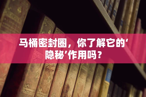 马桶密封圈，你了解它的‘隐秘’作用吗？