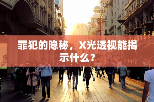 罪犯的隐秘，X光透视能揭示什么？