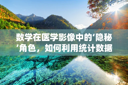 数学在医学影像中的‘隐秘’角色，如何利用统计数据优化诊断精度？