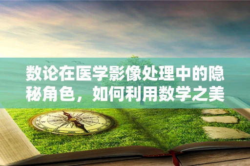 数论在医学影像处理中的隐秘角色，如何利用数学之美优化图像分辨率？