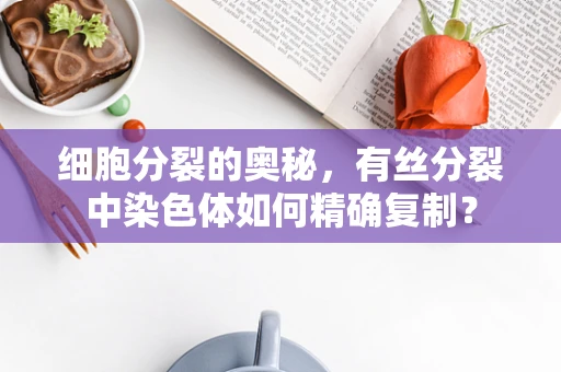 细胞分裂的奥秘，有丝分裂中染色体如何精确复制？
