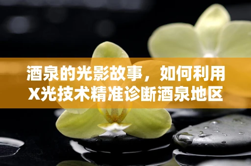 酒泉的光影故事，如何利用X光技术精准诊断酒泉地区高发的骨骼疾病？