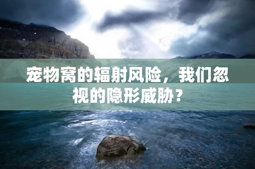 宠物窝的辐射风险，我们忽视的隐形威胁？