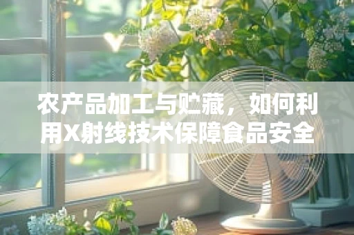 农产品加工与贮藏，如何利用X射线技术保障食品安全？