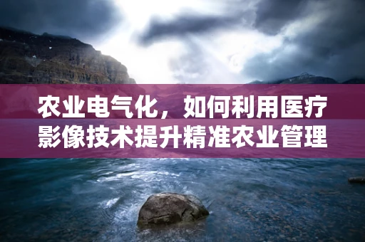 农业电气化，如何利用医疗影像技术提升精准农业管理？