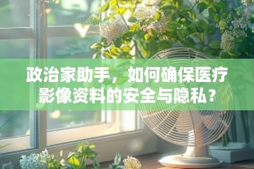 政治家助手，如何确保医疗影像资料的安全与隐私？