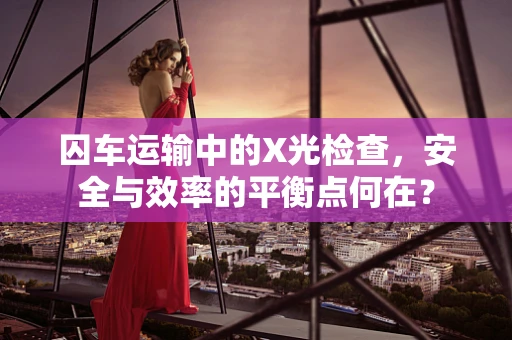 囚车运输中的X光检查，安全与效率的平衡点何在？
