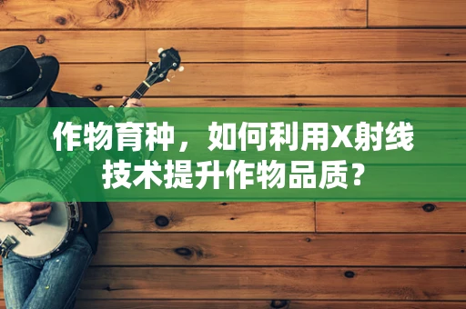 作物育种，如何利用X射线技术提升作物品质？