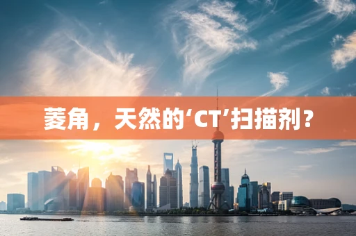 菱角，天然的‘CT’扫描剂？