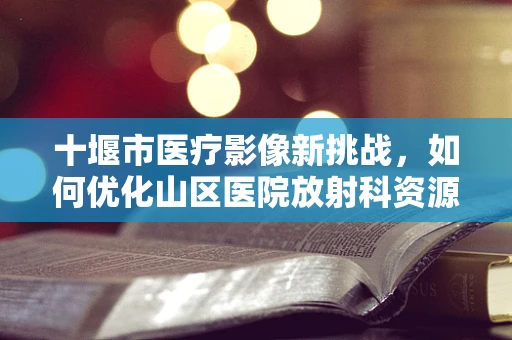 十堰市医疗影像新挑战，如何优化山区医院放射科资源利用？