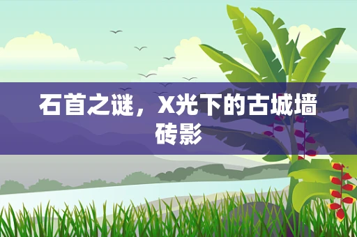 石首之谜，X光下的古城墙砖影