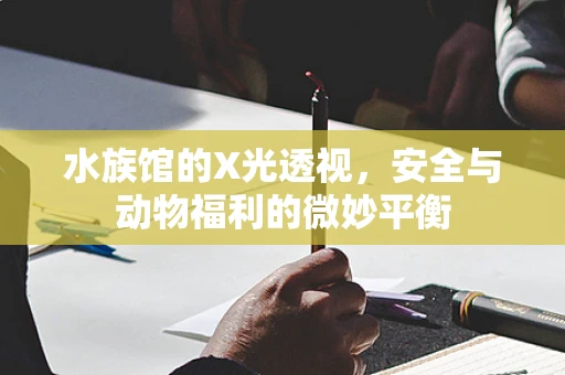 水族馆的X光透视，安全与动物福利的微妙平衡