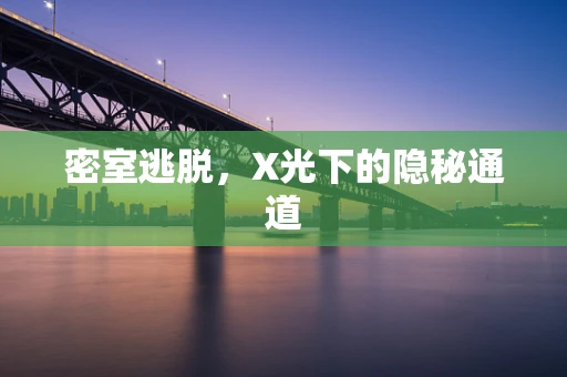 密室逃脱，X光下的隐秘通道