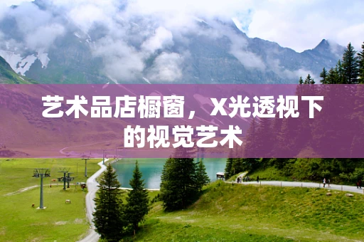 艺术品店橱窗，X光透视下的视觉艺术