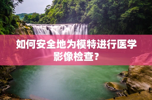 如何安全地为模特进行医学影像检查？