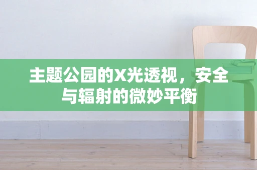 主题公园的X光透视，安全与辐射的微妙平衡