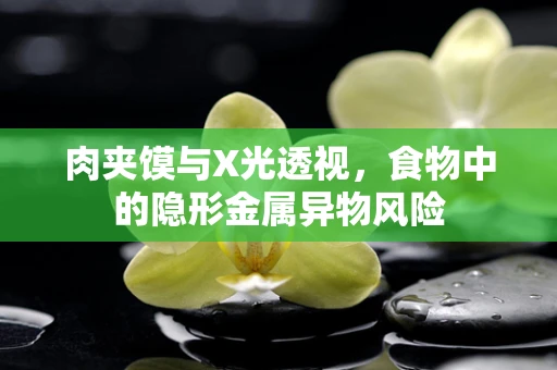 肉夹馍与X光透视，食物中的隐形金属异物风险