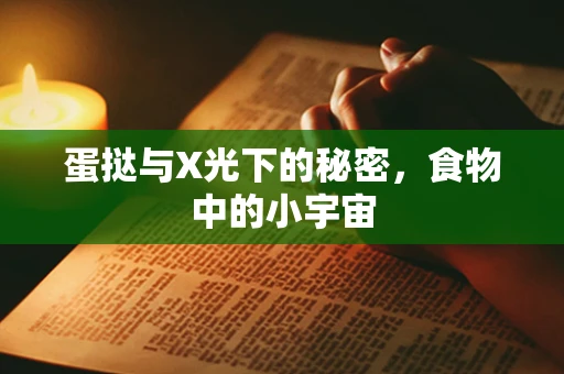 蛋挞与X光下的秘密，食物中的小宇宙