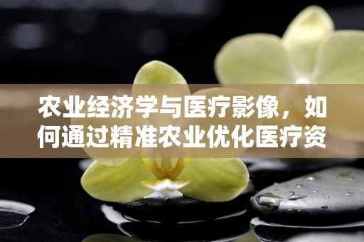 农业经济学与医疗影像，如何通过精准农业优化医疗资源？