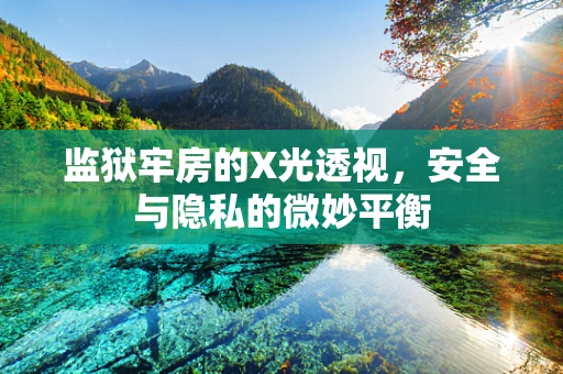 监狱牢房的X光透视，安全与隐私的微妙平衡