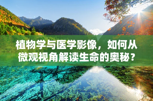 植物学与医学影像，如何从微观视角解读生命的奥秘？