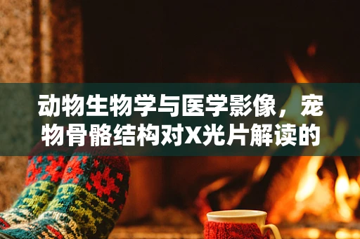 动物生物学与医学影像，宠物骨骼结构对X光片解读的影响