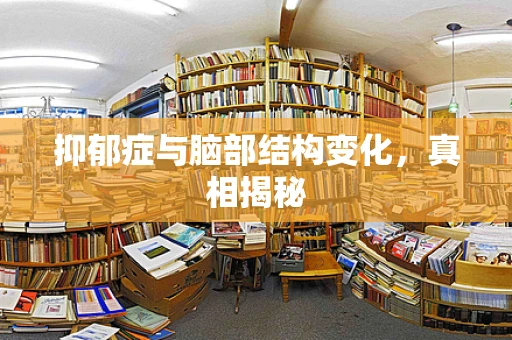 抑郁症与脑部结构变化，真相揭秘