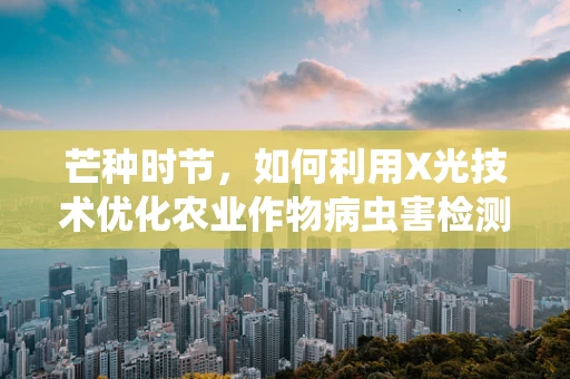 芒种时节，如何利用X光技术优化农业作物病虫害检测？