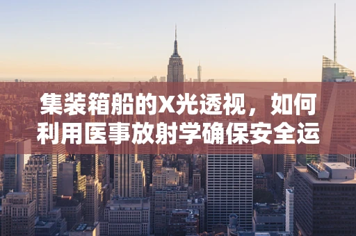 集装箱船的X光透视，如何利用医事放射学确保安全运输？