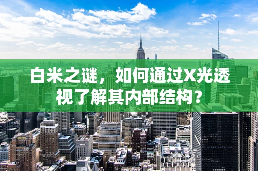 白米之谜，如何通过X光透视了解其内部结构？