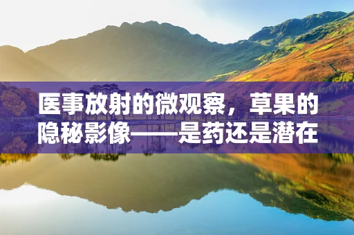 医事放射的微观察，草果的隐秘影像——是药还是潜在风险？