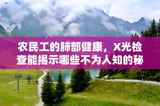 农民工的肺部健康，X光检查能揭示哪些不为人知的秘密？