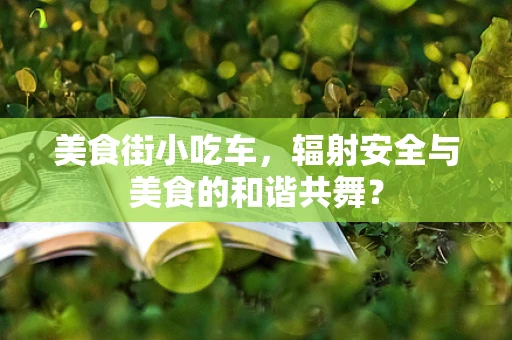 美食街小吃车，辐射安全与美食的和谐共舞？