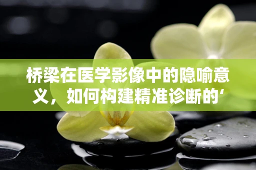 桥梁在医学影像中的隐喻意义，如何构建精准诊断的‘桥梁’？