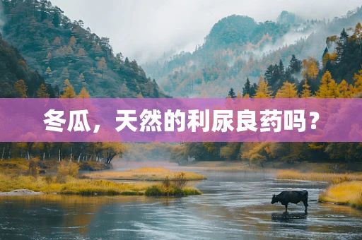 冬瓜，天然的利尿良药吗？