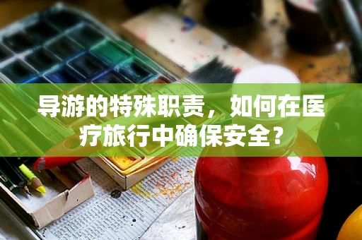 导游的特殊职责，如何在医疗旅行中确保安全？