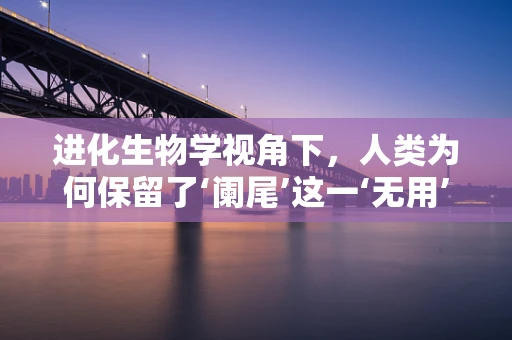 进化生物学视角下，人类为何保留了‘阑尾’这一‘无用’器官？