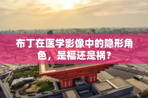 布丁在医学影像中的隐形角色，是福还是祸？