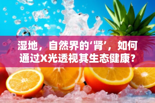 湿地，自然界的‘肾’，如何通过X光透视其生态健康？