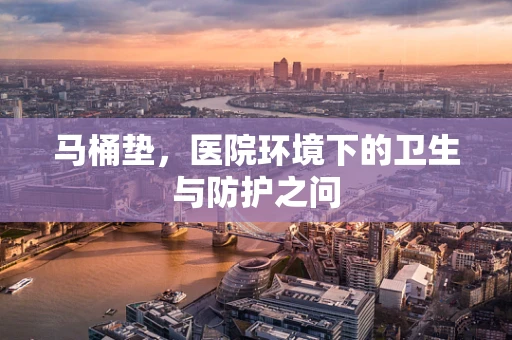 马桶垫，医院环境下的卫生与防护之问