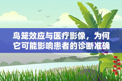 鸟笼效应与医疗影像，为何它可能影响患者的诊断准确性？