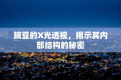 豌豆的X光透视，揭示其内部结构的秘密